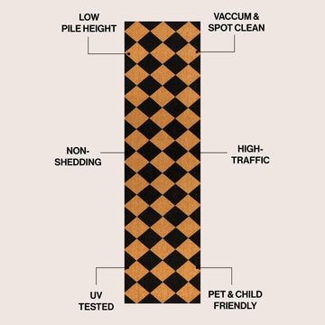 Paige Modern Classic Diamond-patterned Coir Area Rug